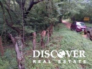 136 Acres of Lush Green Forest