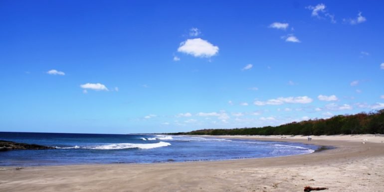 matapalo-beach-img_0443