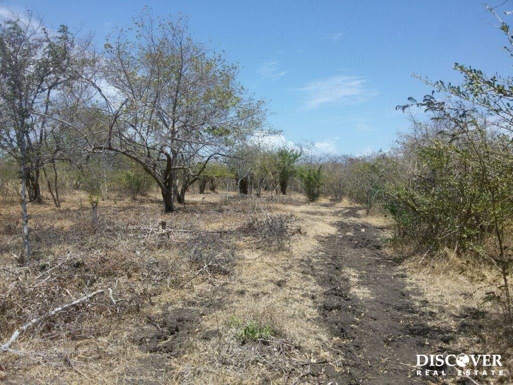 99 Acre Farm Property