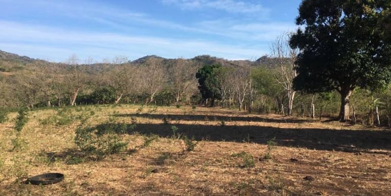 Unspoiled Jungle Property in Miravalle