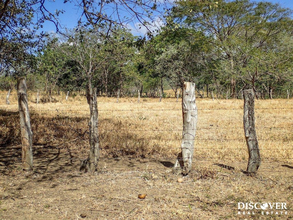 1 Manzana Lot in Las Delicias