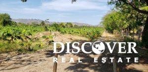 13 Manzana Banana Farm