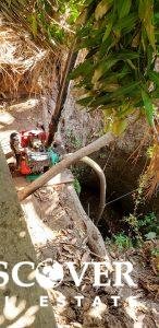 13 Manzana Banana Farm