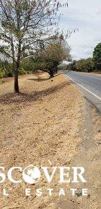 6 Manzana Banana Farm