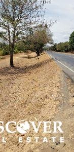 6 Manzana Banana Farm