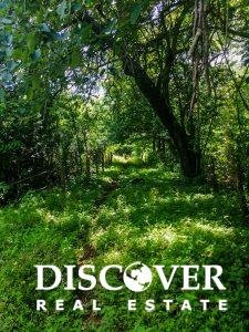 Heavily Wooded 11 Manzanas