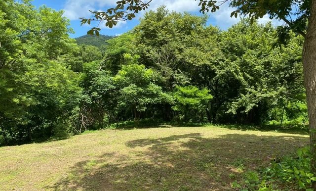 093ed6f1-d043-4586-85c4-4673350e6465