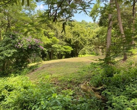 139bc5c9-06a1-4498-bb04-23e3ff402688