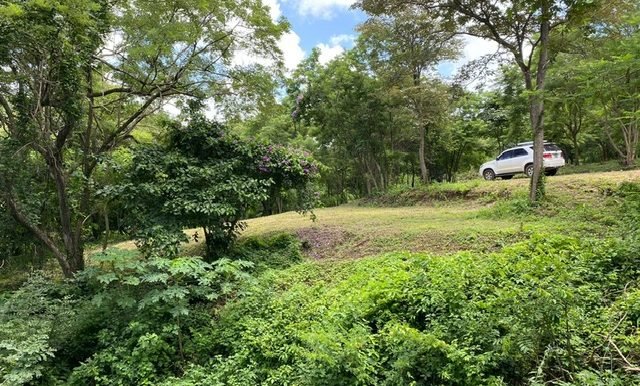 4089cb82-7c45-4bf4-a53a-bd7a2c69f78b