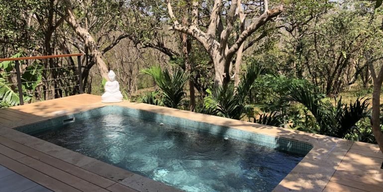 Forest House pool