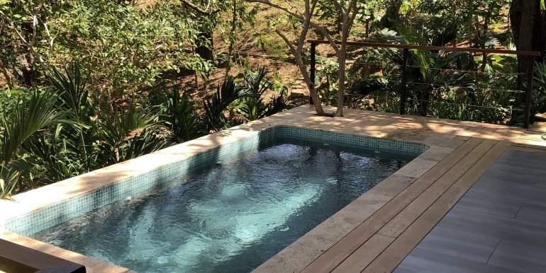 Forest House pool and patio