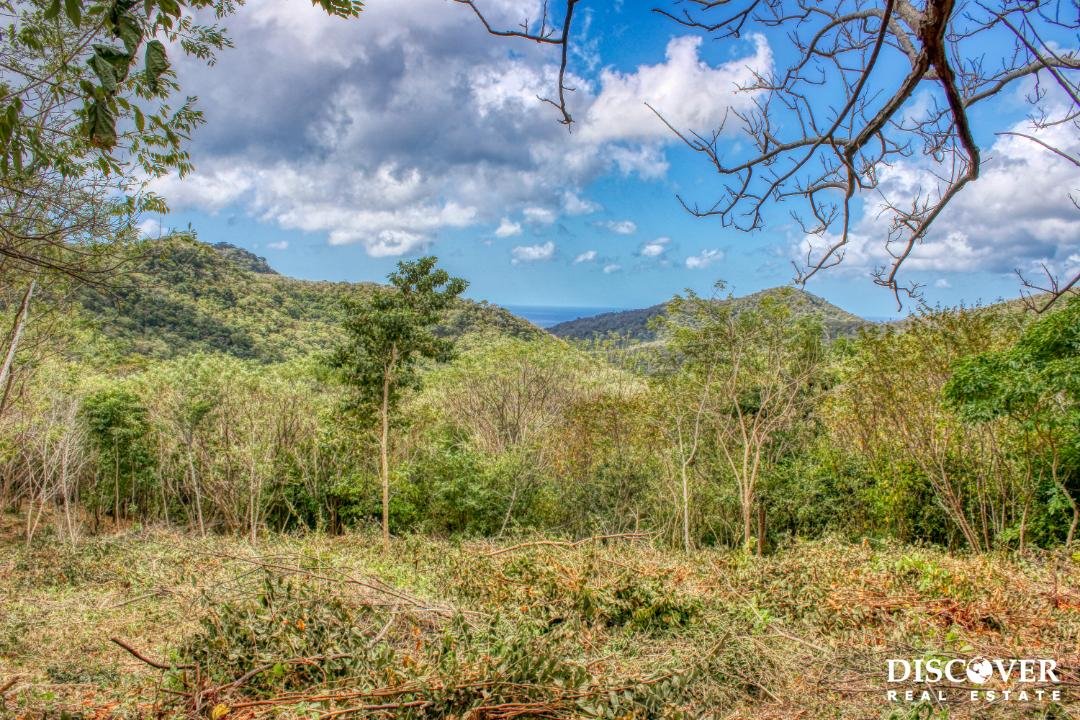 Ocean View, Rolling Acres, Privacy, Arriba Verde Estate 1arribaverde5 (6)