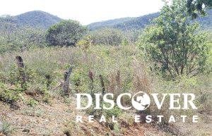 Lot 5 Carrizal