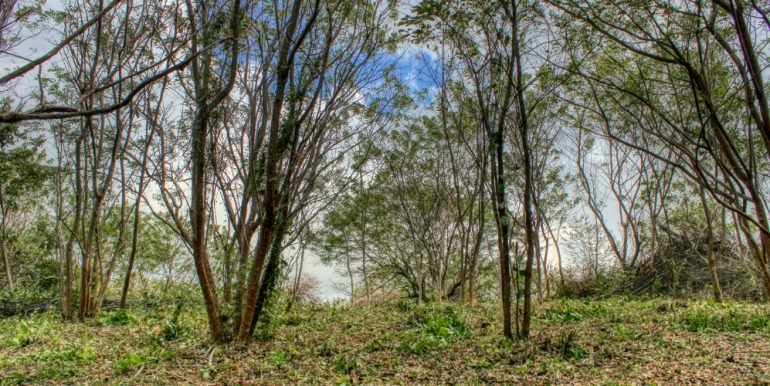 arribaverde5 (3)