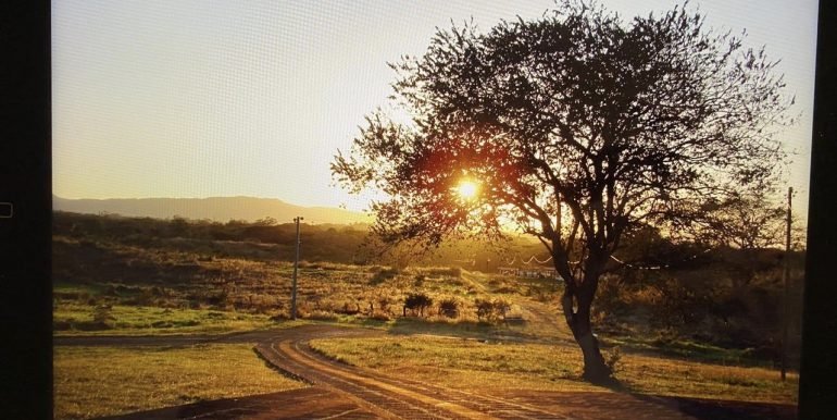 PHOTO-2020-07-24-13-07-31 (1)