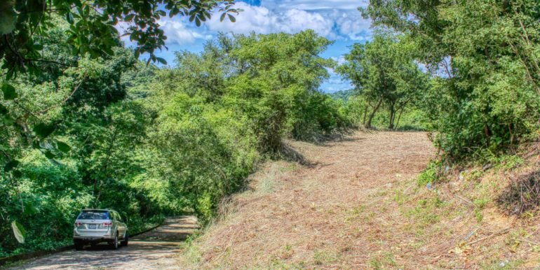 PacificMarlinC4C5 (1)