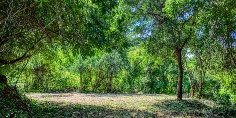 PacificMarlinC4C5 (10)