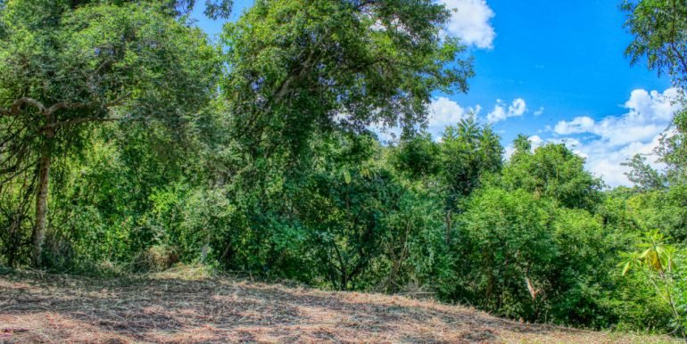 PacificMarlinC4C5 (11)