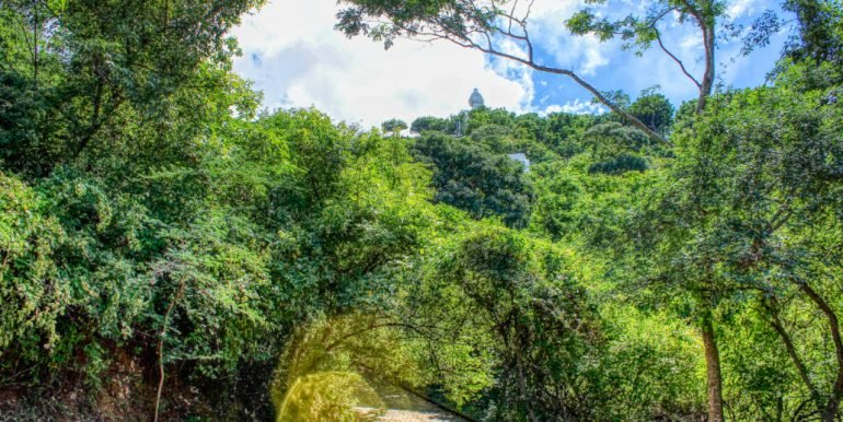 PacificMarlinC4C5 (12)