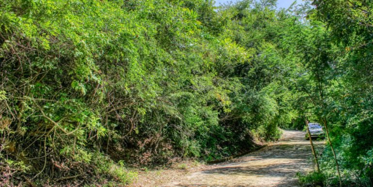 PacificMarlinC4C5 (13)