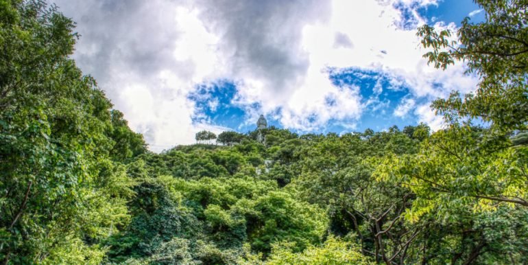 PacificMarlinC4C5 (14)