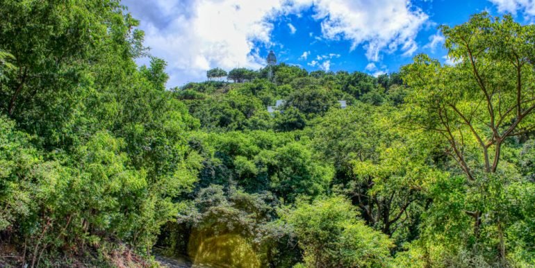 PacificMarlinC4C5 (15)