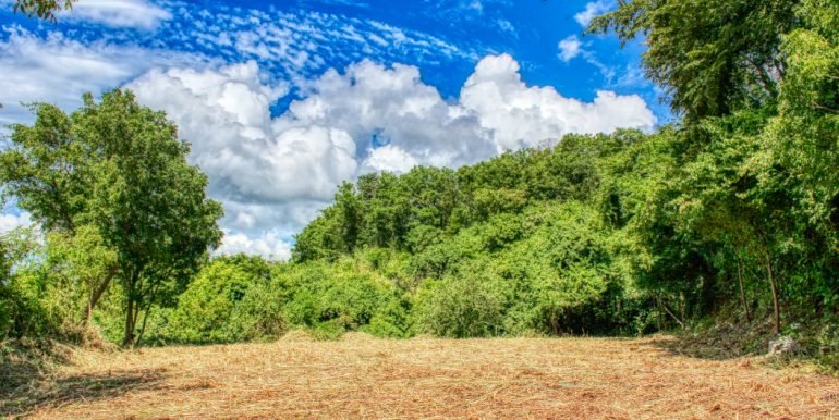 PacificMarlinC4C5 (2)