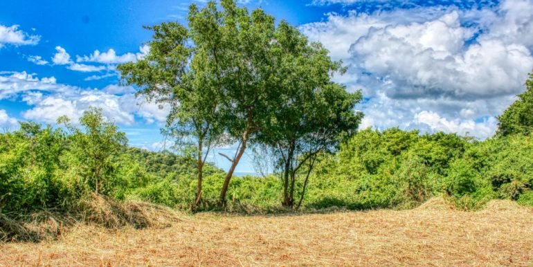 PacificMarlinC4C5 (3)