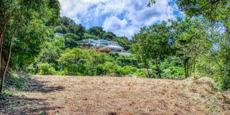 PacificMarlinC4C5 (4)