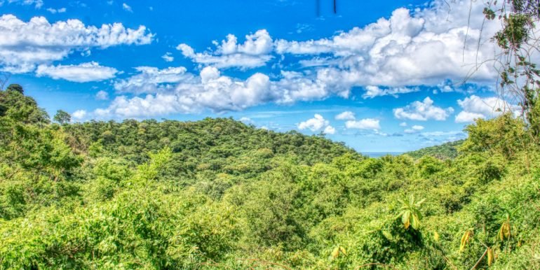 PacificMarlinC4C5 (5)