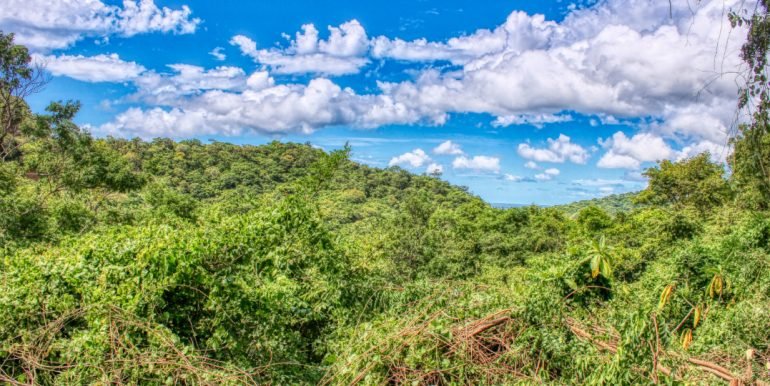 PacificMarlinC4C5 (6)