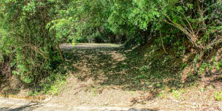 PacificMarlinC4C5 (7)