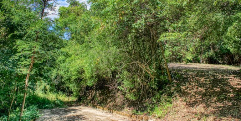 PacificMarlinC4C5 (8)