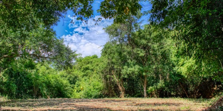 PacificMarlinC4C5 (9)