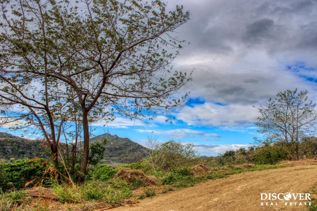 Sun and Shade, Panoramic Views, Oro Lot 14 Oro14 (18)