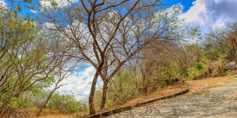 PacificMarlinV6 (11)