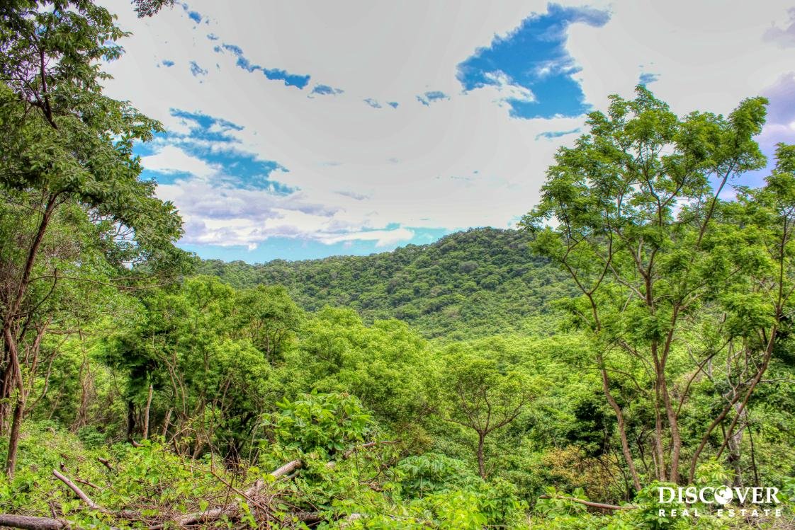 Las Fincas Eco Community, 1.7 acres, Ocean and Jungle Views Fincas35b (4) (1)