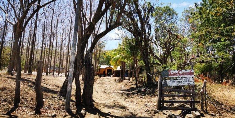 WhatsApp Image 2022-05-09 at 9.39.38 AM