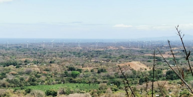 WhatsApp Image 2022-05-09 at 9.40.18 AM