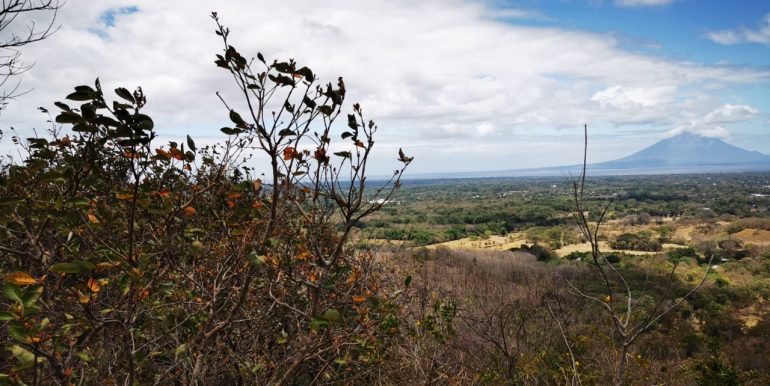 WhatsApp Image 2022-05-09 at 9.40.19 AM