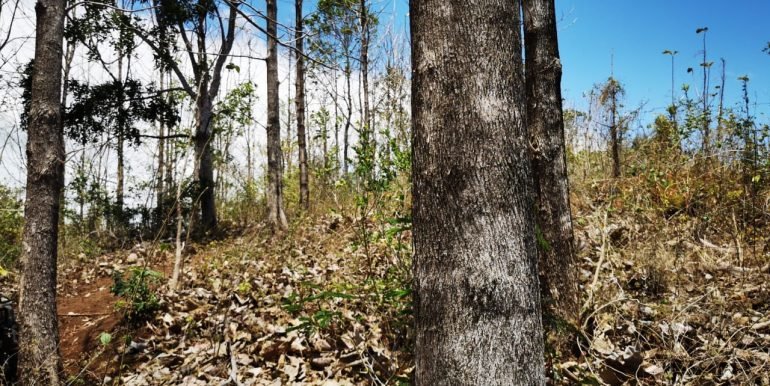 WhatsApp Image 2022-05-09 at 9.40.27 AM