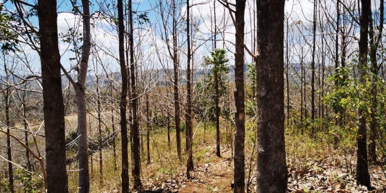 WhatsApp Image 2022-05-09 at 9.40.30 AM