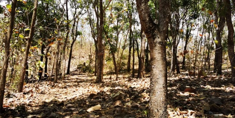 WhatsApp Image 2022-05-09 at 9.40.32 AM