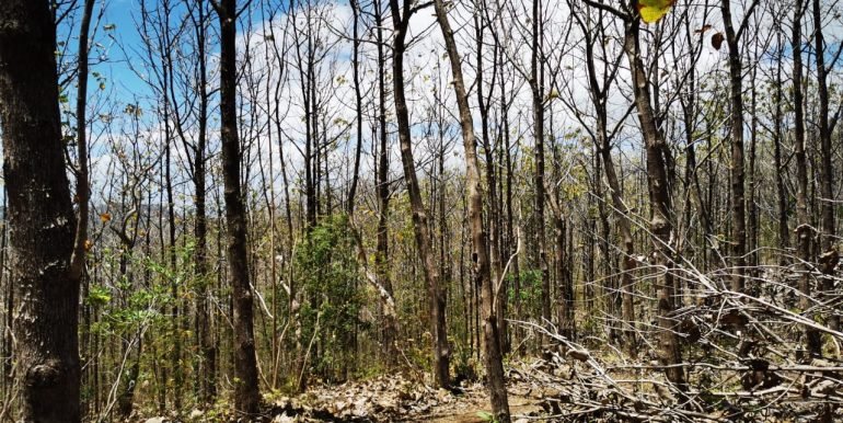 WhatsApp Image 2022-05-09 at 9.40.33 AM (1)