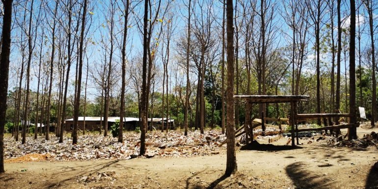 WhatsApp Image 2022-05-09 at 9.40.37 AM (2)