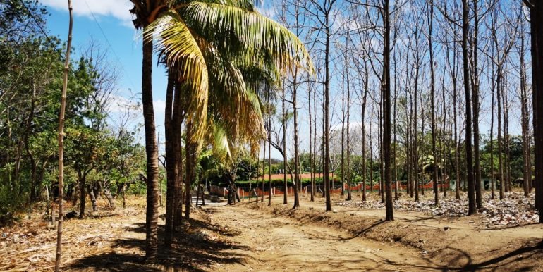 WhatsApp Image 2022-05-09 at 9.40.38 AM (2)