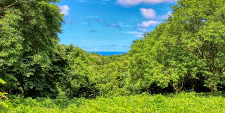 Papayal 7374 (1) (1)