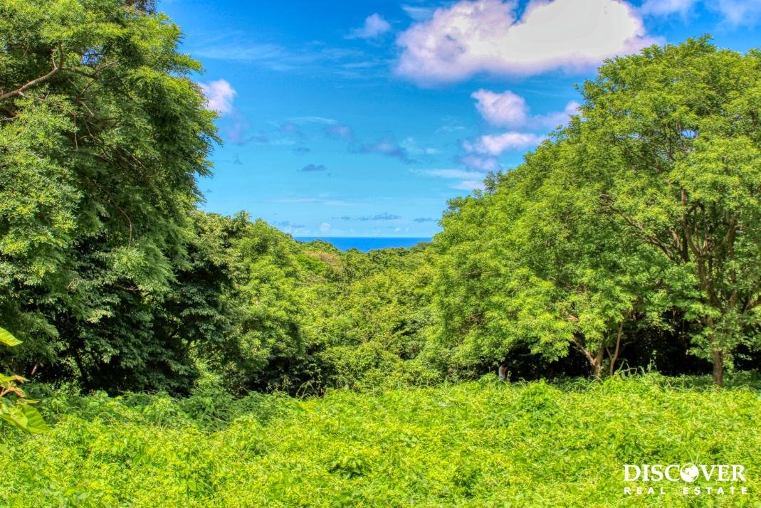 Rancho Papayal Lot 74, Beautiful Ocean and Forest Views Papayal 7374 (1)