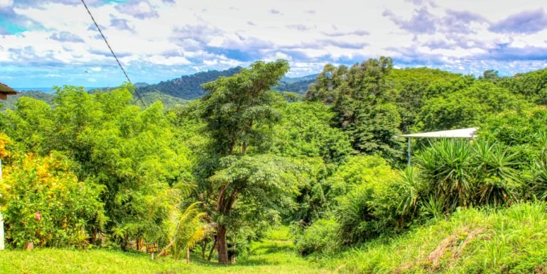 Papayal 7374 (11) (1)