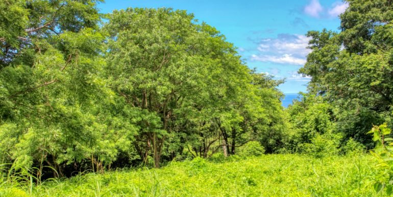 Papayal 7374 (3) (1)